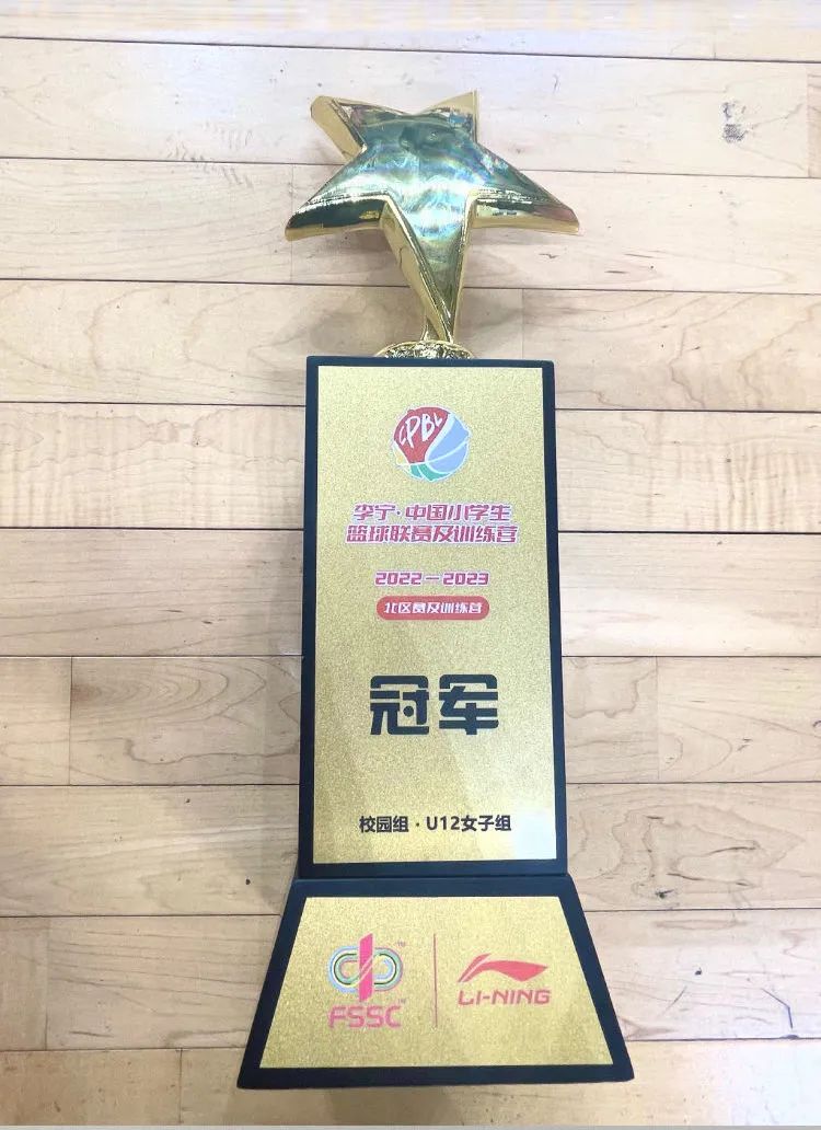 市级u12篮球赛冠军有用吗_篮球冠军算几块金牌_篮球赛冠军